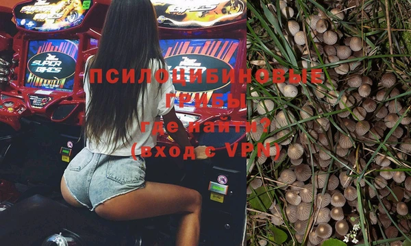 бошки Гусиноозёрск