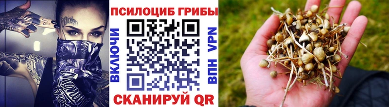Псилоцибиновые грибы прущие грибы Еманжелинск