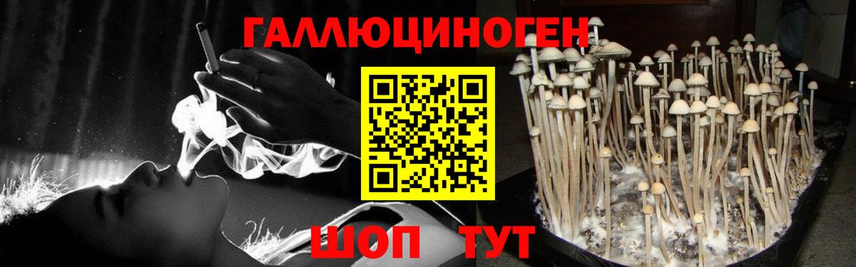 Псилоцибиновые грибы MAGIC MUSHROOMS Еманжелинск